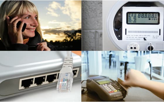 Greenliant Specialty Flash Memory